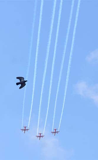 त्यानंतर गोवा आणि बिदर या ठिकाणी सुद्धा फ्लायपास्ट केलं जाणार आहे (photo tweeted by : @DefPROMumbai)