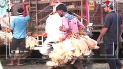 Mumbai : जीवघेणं चिकन तुमच्या ताटापर्यंत कसं पोहोचतं? चिकन जास्त काळ टिकवण्यासाठी काय काय केलं जातं?