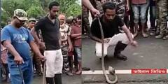 Malda Snake Catcher Death: সাপ ধরতে গিয়ে সাপের কামড়েই মৃত্যু মালদার যুবকের, প্রশ্ন প্রশিক্ষণ থাকা নিয়েই