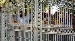 Ananthapuram TDP Leaders Houser Arrest : అనంతపురంలో టీడీపీ ముఖ్య నాయకుల గృహ నిర్బంధం