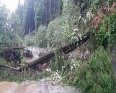 North Bengal Landslide : বিপর্যস্ত পাহাড়, পরপর ধস, বন্ধ যান চলাচল, টয়ট্রেন