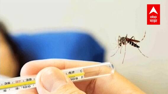 Dengue : डेंग्यूवर औषध शोधण्यात वैज्ञानिकांना यश, लवकरच चाचणी केली जाणार
