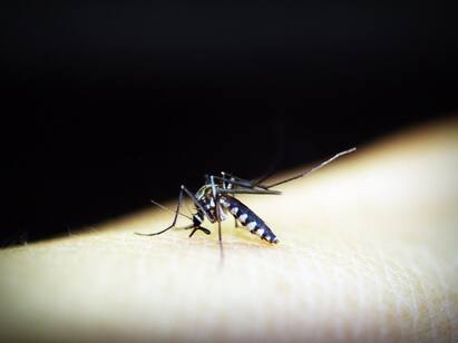 Dengue Update Centre sends teams of experts to 9 states, union territories to help in controlling mosquito borne disease Dengue : দেশের ৯ রাজ্য ও কেন্দ্রশাসিত অঞ্চলে ডেঙ্গির প্রকোপ, বিশেষজ্ঞ দল পাঠাল কেন্দ্র
