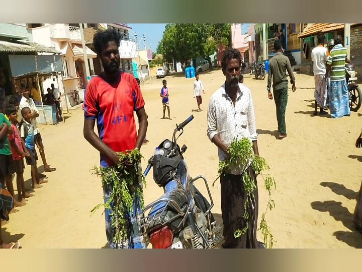 Goat thieves arrested near Vilathikulam தூக்கிய ஆடுகள்... தாக்கிய பொதுமக்கள்... வீங்கிய முகம்: சத்தம் போட்டதால் சட்டை கிழிந்த பரிதாபம்!
