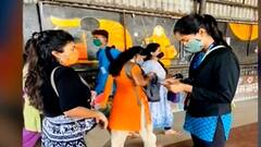 Central Railway वर विनातिकीट प्रवास करणाऱ्यांना दंड, 6 महिन्यात 71 कोटींचा दंड वसूल : ABP Majha