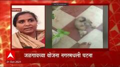 Jalgaon Crime : धक्कादायक! कोंबडी खाल्ल्याच्या रागातून शेजाऱ्यांने घातली मांजरीच्या कपाळात गोळी