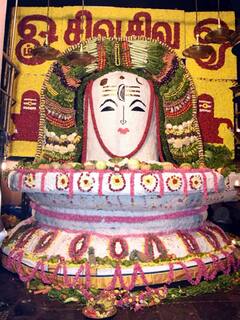 தஞ்சை பெரிய கோவிலில் 750 கிலோ பச்சரிசி சாதம், 600 கிலோ எடை காய்கறிகளால் சிவனுக்கு அன்னாபிஷேகம்