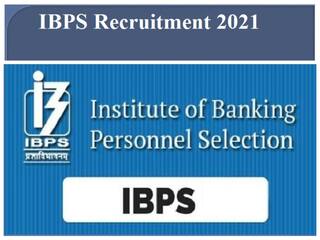 IBPS Recruitment 2021: आईबीपीएस ने ग्रेजुएट युवाओं के लिए निकाली बंपर भर्तियां, ऐसे कर सकते हैं आवेदन