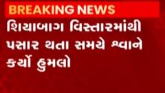 વડોદરાઃ ભાજપના મહિલા કોર્પોરેટરને રખડતા શ્વાને ભર્યા બચકા,જુઓ ગુજરાતી ન્યૂઝ