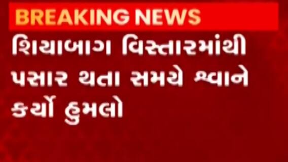 વડોદરાઃ ભાજપના મહિલા કોર્પોરેટરને રખડતા શ્વાને ભર્યા બચકા,જુઓ ગુજરાતી ન્યૂઝ