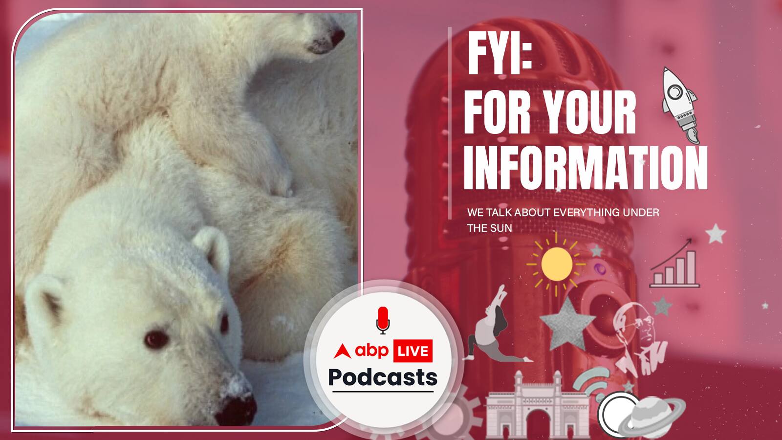 FYI | वैज्ञानिकों ने कहा Arctic की बर्फ पिघलने के चलते 2100 तक लुप्त हो सकते हैं Polar Bear और Seals? | Ep. 163