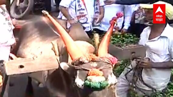 Pune :  इंधन दरवाढीविरोधात राष्ट्रवादीचं बैलगाडीवरुन निषेध आंदोलन