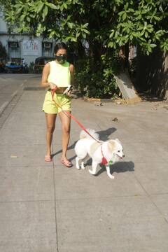 Malaika Arora Photos: मलाइका अरोड़ पेट डॉग कैस्पर संग अपने घर के बाहर हुईं स्पॉट, नियोन आउटफिट में एक्ट्रेस का स्टनिंग लुक देख फैंस हुए फिदा