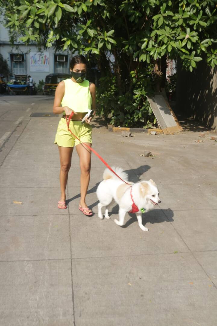 मलाइका अरोड़ा अपने पेट डॉग कैस्पर से कितना प्यार करती हैं इसका अंदाज उनकी लेटेस्ट तस्वीरों को देख लगाया जा सकता है. हाल ही में मलाइका को उनके घर के बाहर स्पॉट किया गया.