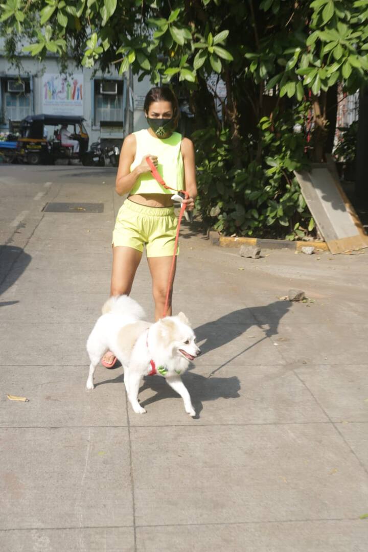 इस दौरान मलाइका अरोड़ा ने नियोन हॉट पैंट और क्रॉप टॉप पहन रखा था. मलाइका का ये अंदाज काफी स्टनिंग लग रहा है जिसे उनके फैंस खूब पसंद कर रहे हैं.