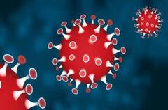 New Virus in Hong Kong: હોંગકોંગમાં જોવા મળી નવી બીમારી, 7 લોકોના મોત, એલર્ટ જાહેર