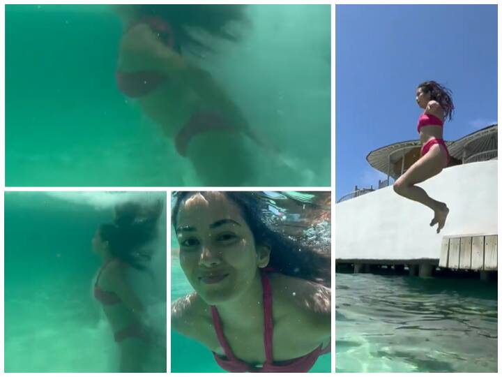 Shahid Kapoor Wife Mira Rajput Dives Into The Sea In Maldives- Watch Shahid Kapoor's Wife Mira Rajput Proves She's A True Blue Water Baby As She Dives Into The Sea In Maldives- Watch