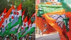 WB Bypoll: গোসাবায় 'বহিরাগত' অস্ত্রে বিজেপি প্রার্থীকে নিশানা তৃণমূলের| Bangla News