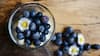 Blueberries Benefits: কেন নিয়মিত ব্লুবেরি খাওয়া দরকার? জানাচ্ছেন বিশেষজ্ঞরা