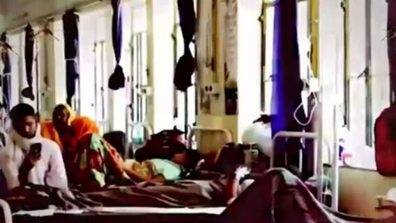 Dengue Crisis: Reality of health system | Ghanti Bajao