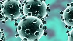 AP TS Corona Updates: ఏపీలో తగ్గిన కోవిడ్ ఉద్ధృతి... కొత్తగా 478 కొత్త కేసులు, 6 మరణాలు