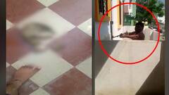 Jalgaon Crime : शेजारच्या मांजराला गोळी घालून ठार मारलं; जळगावच्या योजना नगरमधील घटना