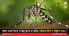 ਕੋਰੋਨਾ ਮਗਰੋਂ ਪੰਜਾਬ ‘ਚ ਡੇੰਗੂ ਬੁਖਾਰ ਦਾ ਕਹਿਰ; ਪਰਿਵਾਰ ਦੀਆਂ 3 ਪੀੜ੍ਹੀਆਂ ਖ਼ਤਮ!