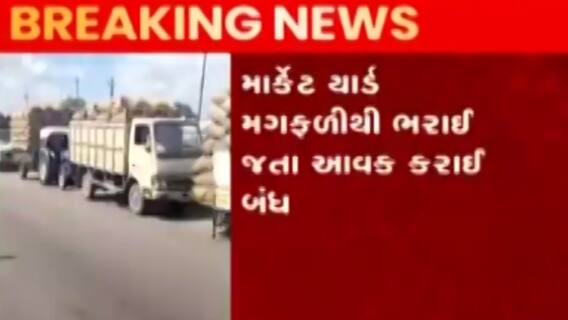 રાજકોટના ગોંડલ માર્કેટિંગ યાર્ડમાં મગફળીની આવક, જુઓ વિડિઓ