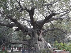 अनसुने रहस्यों से भरा पड़ा है यूपी का बाराबंकी, कीजिए शानदार सैर | एक अकेला इस शहर में