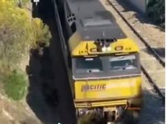 Viral Video: ਪਟੜੀ 'ਤੇ ਫਸੇ ਕੁੱਤੇ ਨੂੰ ਬਚਾਉਣ ਲਈ ਜਾਨ ਤੇ ਖੇਡ ਗਿਆ ਇਹ ਸ਼ਖਸ, ਹੈਰਾਨ ਕਰਨ ਵਾਲਾ ਵੀਡੀਓ ਵਾਇਰਲ 