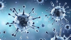 Corona: পুজোয় শিকেয় করোনা বিধি, ডবল ডোজ নিয়েও রেহাই নেই করোনা সংক্রমণে | Bangla News