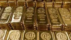 Gold Biscuit: মার্কুইস স্ট্রিটে কাস্টমসের তল্লাশি অভিযানে ৪০টি সোনার বিস্কুট উদ্ধার । Bangla News