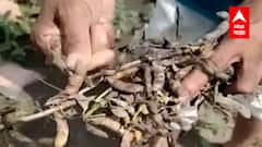 Farmers:राज्यातील नुकसान ग्रस्त शेतकऱ्यांसाठी 10 हजार कोटींचं पॅकेज, मराठवाड्याला किती रुपये मिळणार?