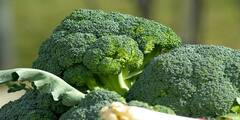 Broccoli Benefits : ক্যানসার ঠেকানো থেকে হার্টের স্বাস্থ্য ভাল রাখা, আর কী কারণে খাবেন ব্রকোলি ?