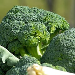 Broccoli Benefits : ক্যানসার ঠেকানো থেকে হার্টের স্বাস্থ্য ভাল রাখা, আর কী কারণে খাবেন ব্রকোলি ?
