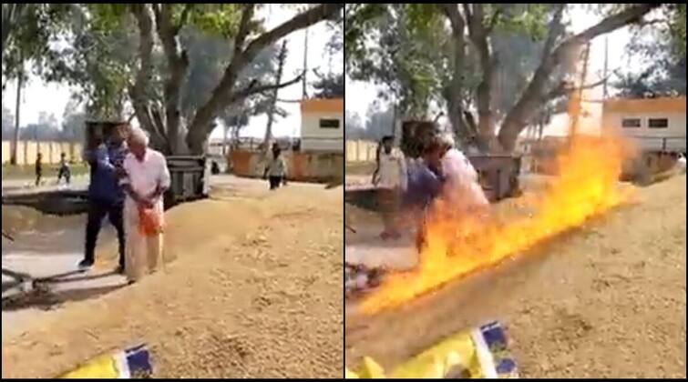 Varun Gandhi shares video of UP farmer burning crop, says 'need to rethink policy' Farmer Fire his Crop: ਝੋਨਾ ਨਾ ਵਿਕਿਆ 'ਤੇ ਕਿਸਾਨ ਨੇ ਫਸਲ ਨੂੰ ਲਗਾਈ ਅੱਗ, ਵਰੁਣ ਗਾਂਧੀ ਨੇ ਉਠਾਇਆ ਸਵਾਲ