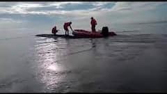 Tamil Nadu: Panama-Flagged Cargo Ship Rams Into Boat, Leaves 17 TN Fishermen Injured