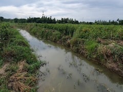 UK News: खटीमा के नेपाल बॉर्डर पर बसे गांवों में शारदा डैम से ओवरफ्लो होने से हुआ जलभराव, फसलों को हुआ भारी नुकसान