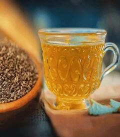 How To Lose Weight: પેટની ચરબી ઝડપથી ઘટાડે છે આ પાંચ વસ્તુ, વજન ઘટાડવામાં ખૂબ જ છે કારગર