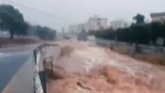 અસ્મિતા વિશેષ: ઘમરોળતી આફત