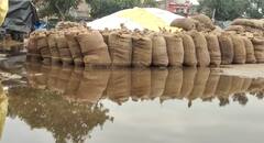 ਮੰਡੀਆਂ 'ਚ ਤੈਰ ਰਿਹਾ ਕਿਸਾਨਾਂ ਦਾ ਸੋਨਾ , ਆਸਮਾਨ ਤੋਂ ਬਰਸ ਰਹੀ ਆਫ਼ਤ