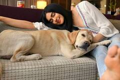 Adah Sharma Photos: 'హార్ట్ ఎటాక్' బ్యూటీ హాట్ షో.. తట్టుకోవడం కష్టమే..