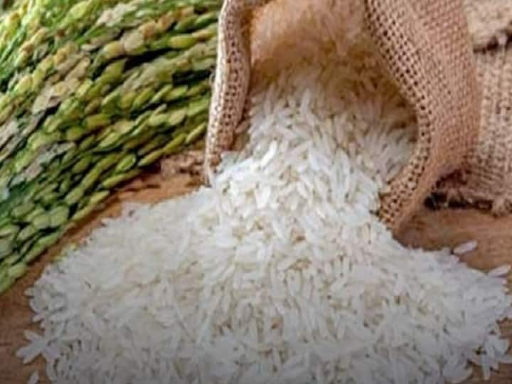 Punjab is buying 250 lac tonnes of paddy and new production is 180 lac tonnes Punjab News: फसलों की खरीद पर करोड़ों का खेल, उत्पादन 180 लाख टन, खरीद 250 टन