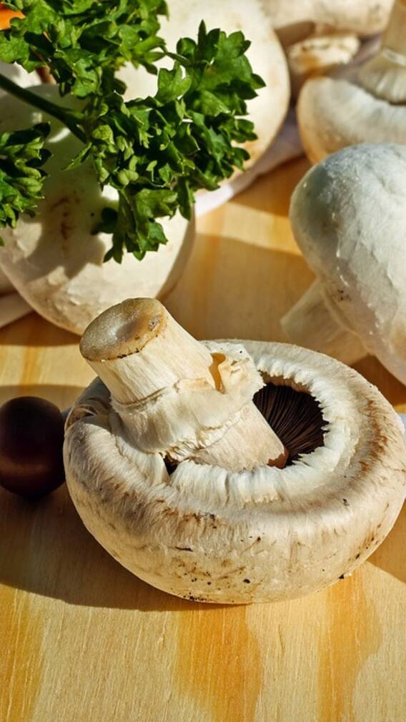 মাশরুম আমাদের শরীরের জন্য কতটা উপকারী?