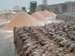 Punjab: बेमौसम बारिश से किसानों को हुआ भारी नुकसान, मंडी में रखी फसलों का हुआ ऐसा हाल