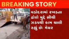 વડોદરા: પ્રદેશ ભાજપ પ્રમુખ સી.આર.પાટીલે વડોદરાના મેયરને શું કરી ટકોર?, જુઓ ગુજરાતી ન્યુઝ