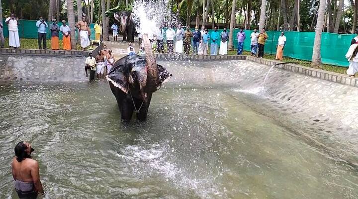 திருவரங்கம் கோவிலில் யானைகள் குளிப்பதற்காக புதிய நீச்சல் குளம் கட்டப்பட்டது.
