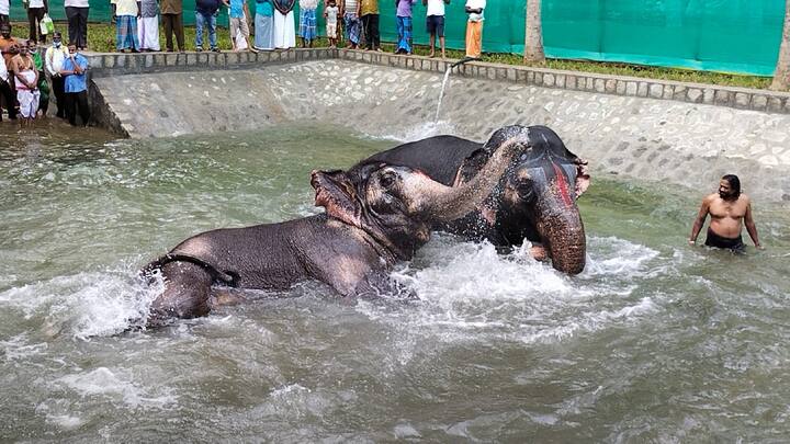 இந்த நீச்சல் குளம்