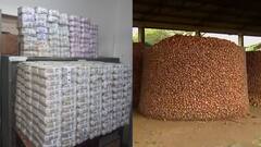 IT raids on onion traders in Nashik : कांदा व्यापाऱ्यांकडून कोट्यवधीचं घबाड जप्त ABP Majha