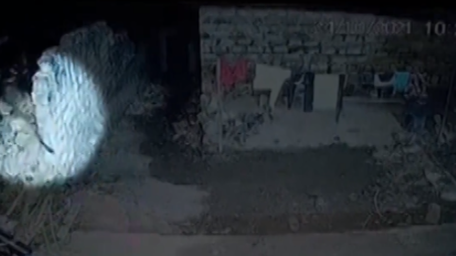 અમરેલીઃ દીવાલ પરથી છલાંગ લગાવી રહેણાક મકાનમાં પ્રવેશ્યો દીપડો, જુઓ CCTV ફુટેજ